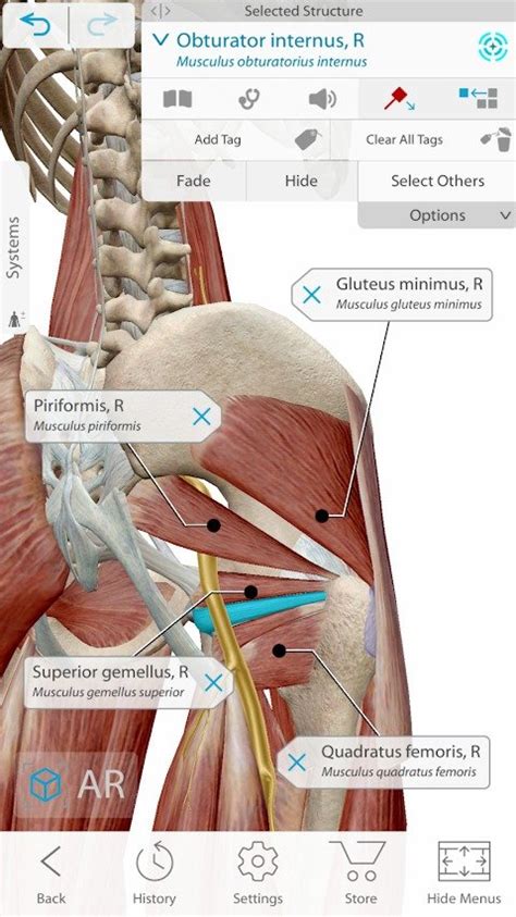 Human Anatomy Atlas 2021 APK V2021 2 27