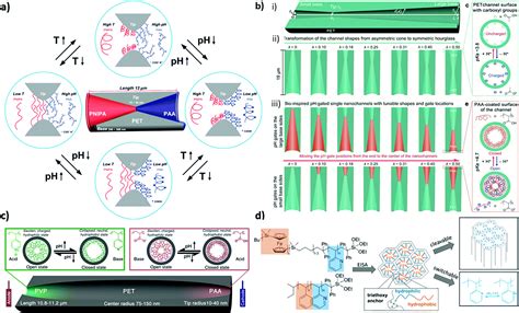 Pushing The Limits Of Nanopore Transport Performance By Polymer