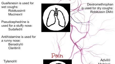 Blood Thinners Side Effects - Effect Choices