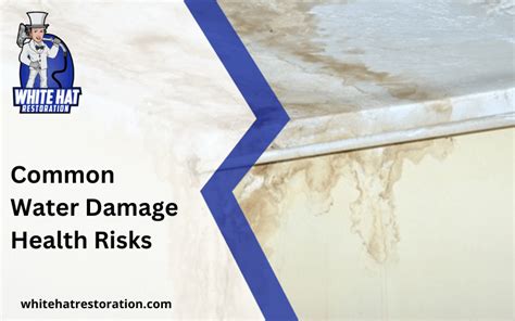 Common Water Damage Health Risks White Hat Restoration