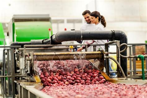 Premium Photo | Two workers working on fruit washing machine in factory