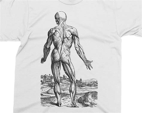 Skinless Man Muscles Andreas Vesalius T Shirt Gift For Etsy