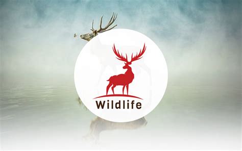 Wildlife Logo Design Template #188633 - TemplateMonster