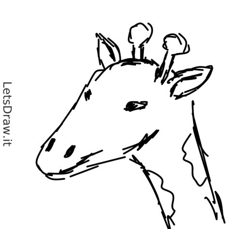 draw giraffe pdkcpng letsdrawit