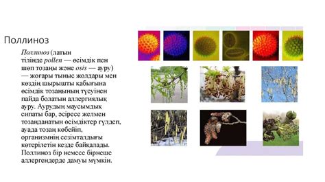 Поллиноз (сенная лихородка) - презентация онлайн