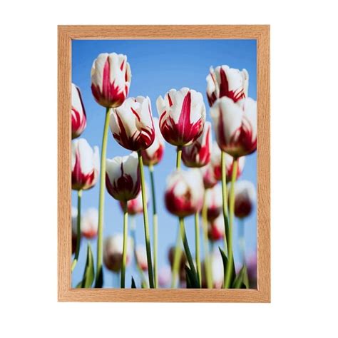 Arttoframes 10 X 10 Red Oak Wood Picture Frame 10x10 Inch Brown Wood