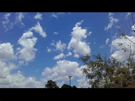 Sem Cueca No Parque Xvideos