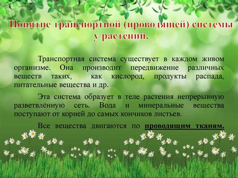 Презентация обмен веществ у растений 6 класс