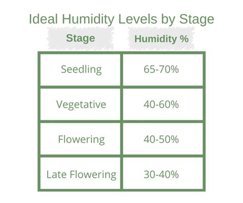 Cannabis Training University | Denver CO