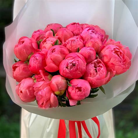 Пион Букет Перфект Фото – Telegraph