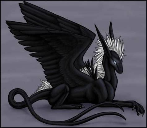 Чёрный дракон / химера