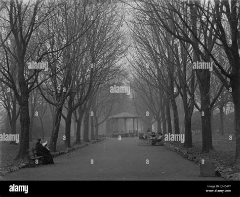 The Avenue, Sophia Gardens (4641637 Stock Photo - Alamy