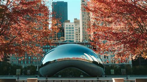 how to become an ordained minister in illinois