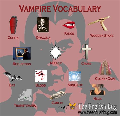 Vampire Vocabulary Vocabulary Learn English English Vocabulary