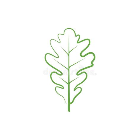 Diseño De Iconos Lineales De Hoja De Roble Ilustración del Vector