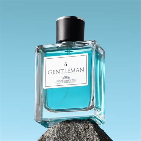 PARFUMS CONSTANTINE GENTLEMAN 6 духи мужские, парфюм 100мл купить на ...