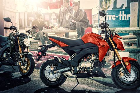 Kawasaki Z Pro Naked Motorcycle Mini Streetfighter