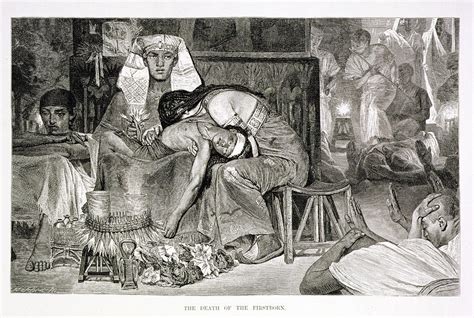 The Death Of The Firstborn, 19th Century Engraving On Paper Photograph ...