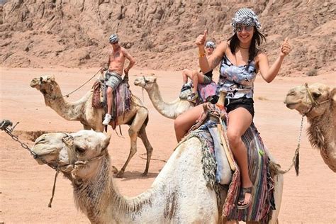 Sharm El Sheikh Desert Adventure X Triphobo