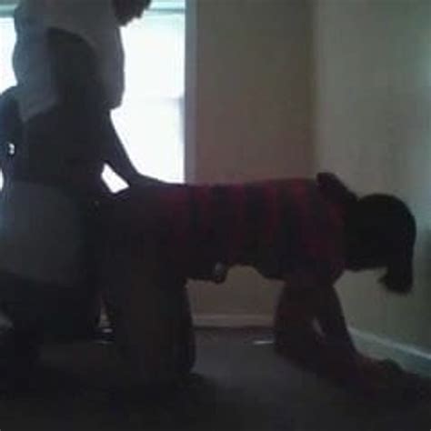 Thots Free Black Home Made Porn Video XHamster XHamster