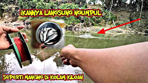 Cara Pasang Rumpon Ikan Di Sungai Di Jamin Per Menit Dapat Ikan