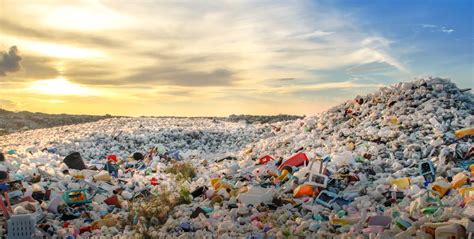 insights  proper solid waste management