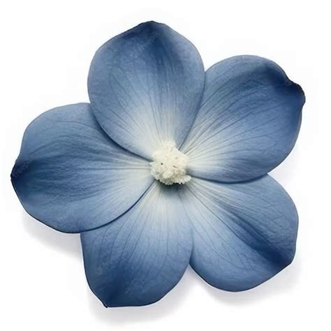 Пин от пользователя Katrina на доске Bbb | Синие картинки, Цветок ...