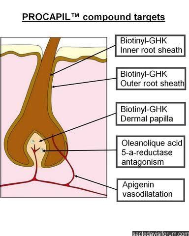 Procapil Sprey Kullananlar Yorumları - Saç Ekimi Sonuçları