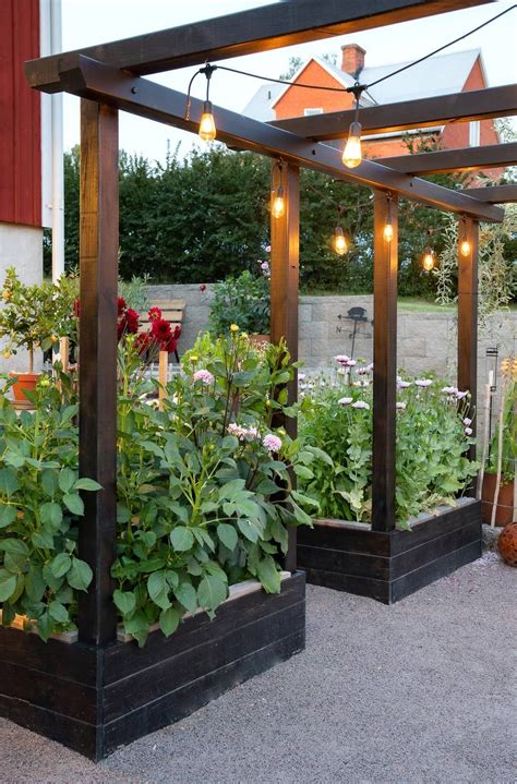 Hey Pandas Please Show Us A Current Picture Of Your Gardens Closed Idéer Trädgårdsarbete