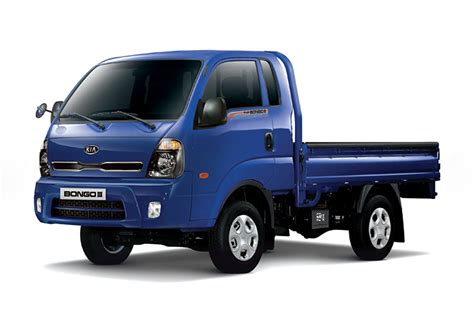 Бонго 3 Фото – Telegraph