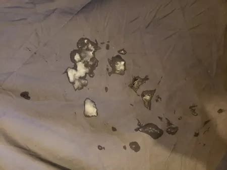 Cum King Gay Porn Videos Sex Model Nudes Xhamster