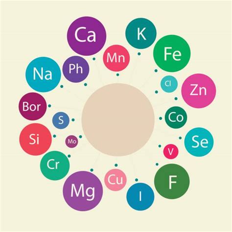 980+ Vitamins And Minerals Chart Stock Illustrations, Royalty-Free ...