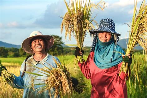 Premium Photo Portrait Of Farmers Standing In Farm