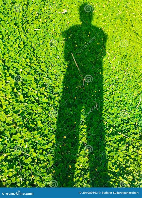 Person Shadow Standing Person Shadow Stock Image Image Of Outline