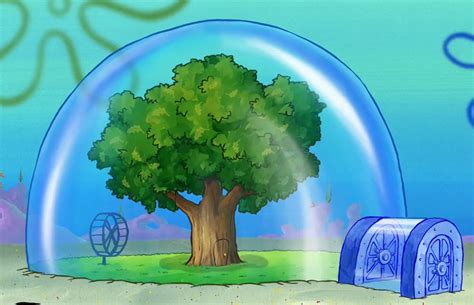 Sandy Cheeks' treedome | Nickelodeon Fanon Wiki | Fandom