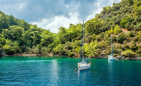 Отдых в Турции – идеальный вариант для аллергиков | Sunmar