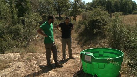 Lliurats Uns Abeuradors Als Ramaders Per Fer Millors Pastures I