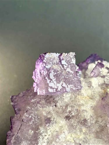 Fluorit Muzquiz Mexico Mineralien De