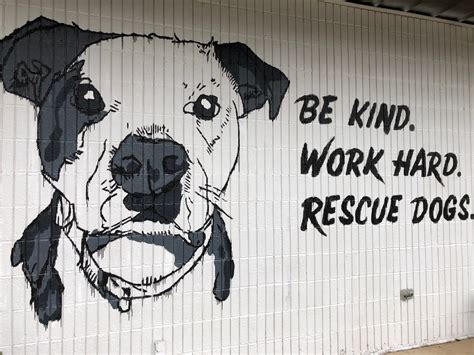 The surprising answer to can you drop off ups at usps might shock you 8