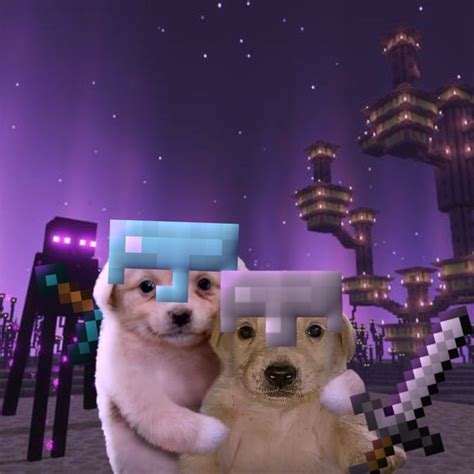 Perros en Minecraft XD Perros de minecraft Imágenes divertidas de