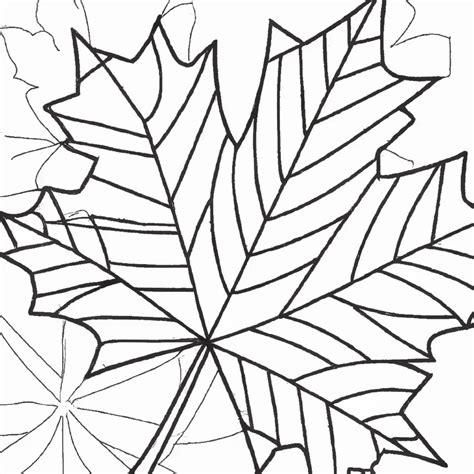Folha De Outono Para Imprimir - Folha de Outono: Desenhos para Imprimir e Colorir que Vão Deixar o Seu ...