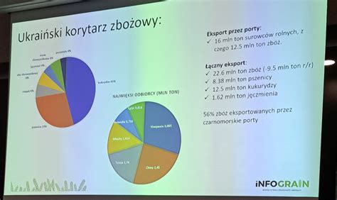 Jaki Jest Bilans Pszenicy I Kukurydzy W Polsce I Na Wiecie