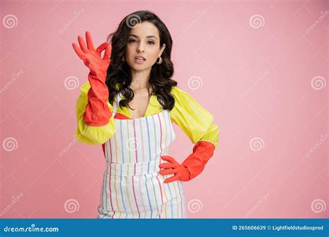 Brunette Housewife In Striped Apron And Stock Image Image Of Housekeeping Household 265606639