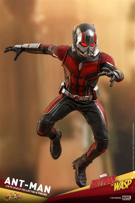 Hot Toys Marvel Ant Man And The Wasp Ant Man Figures
