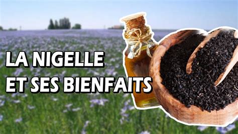 La GRAINE DE NIGELLE 14 BIENFAITS et VERTUS pour la SANTÉ Une