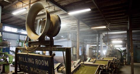 Highfield Tea Factory Coonoor Entry Fee Timings Images And Location