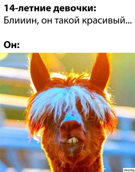 Женские приколы. Здесь только шедевры! / Писец - приколы интернета