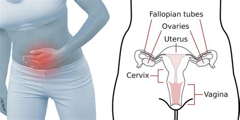 Reasons For Lower Abdominal Pain In Females