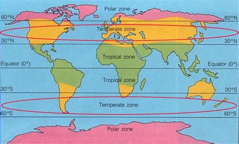 Zona Temperată 🌍 Geolearn