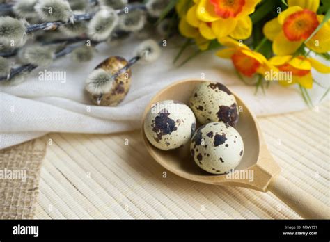 Easter Bouquet Holiday Decoration Pussy Willow And Easter Eggs Of Quail Stock Photo Alamy